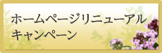 ホームページリニューアルキャンペーン