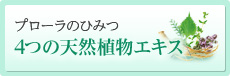 無料お試しサンプル